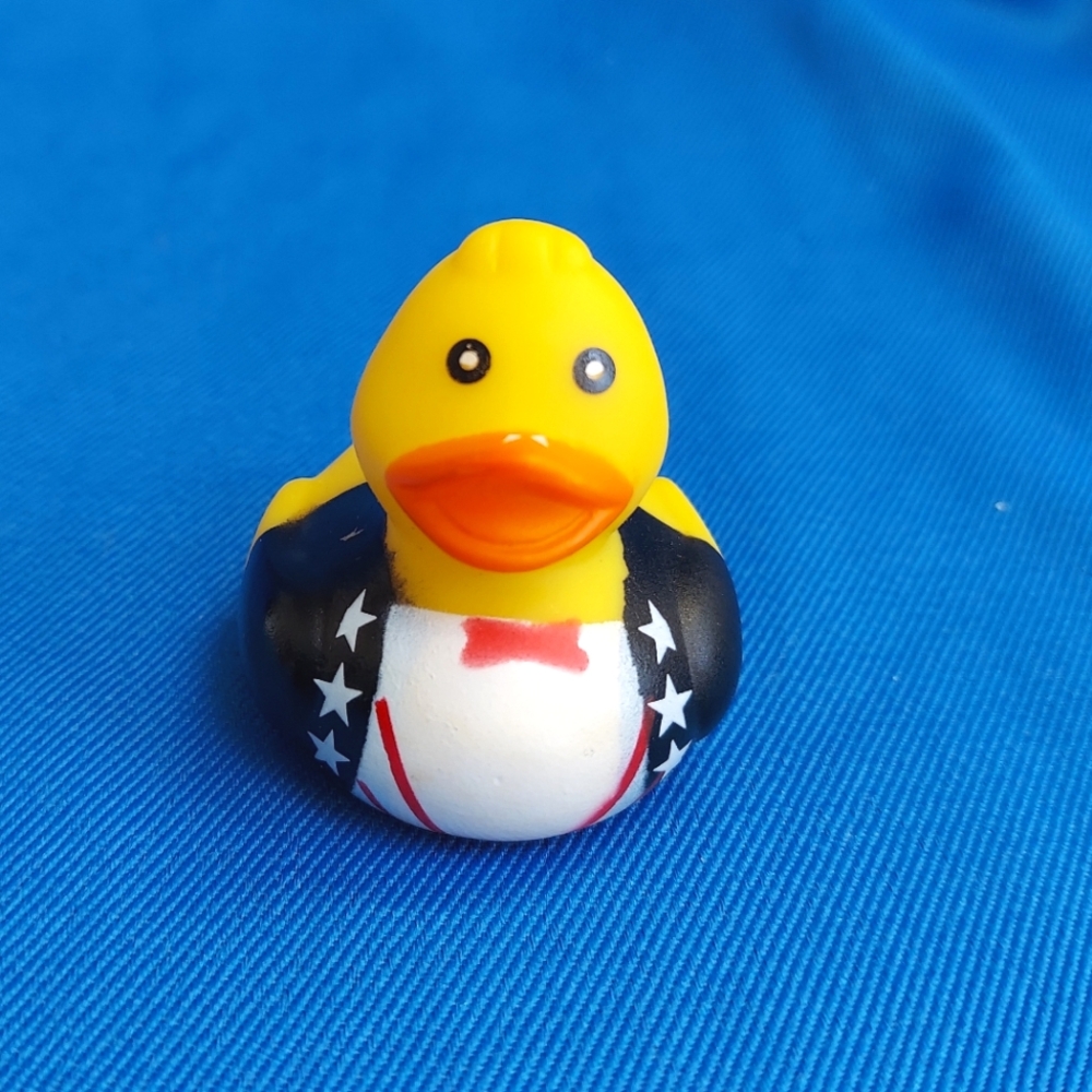 #25 Duck For Duck Duck Plushie Game